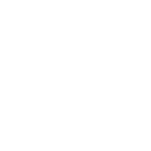 policia-bn